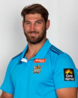 Dave Taylor
